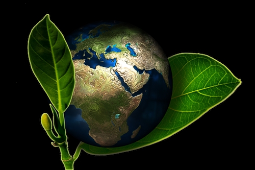 Green-Cleaning-and-Supplies--in-Gwynedd-Valley-Pennsylvania-Green-Cleaning-&-Supplies-892584-image